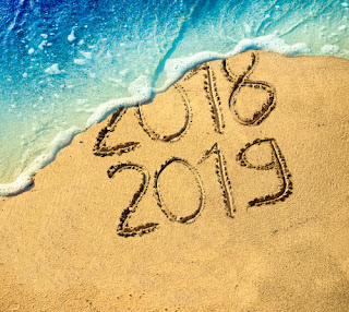 2018 / 2019